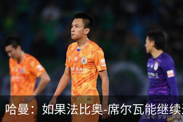 哈曼：如果法比奥-席尔瓦能继续进球，他会在皇家马德里踢球